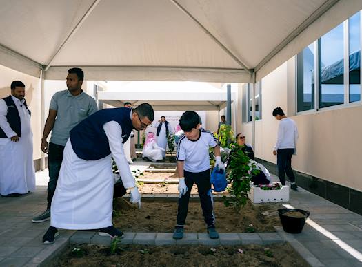 دعم الاستدامة البيئية وجودة الحياة